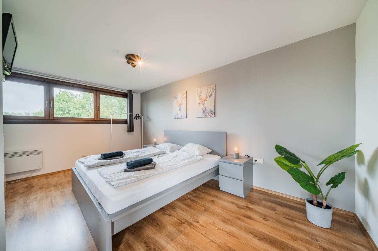 שיפלינג אם סי Panorama-Apartments In Unmittelbarer See-Nahe מראה חיצוני תמונה